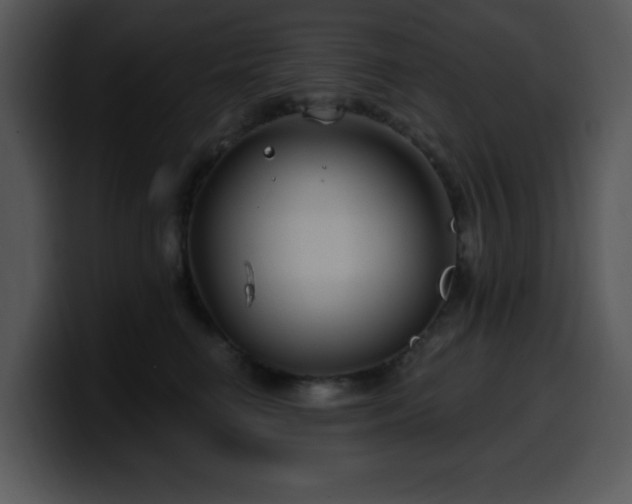 X0000100390662200806061255