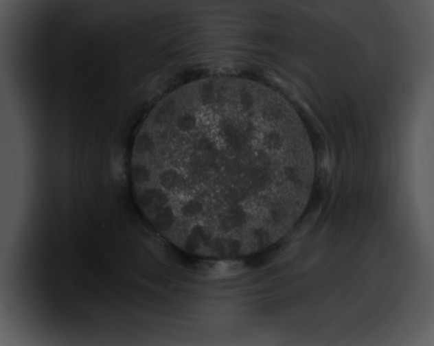 X0000100390663200806061255