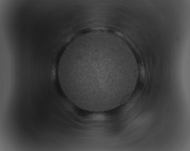 X0000100390668200806061255