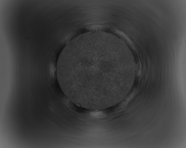 X0000100390669200806061255