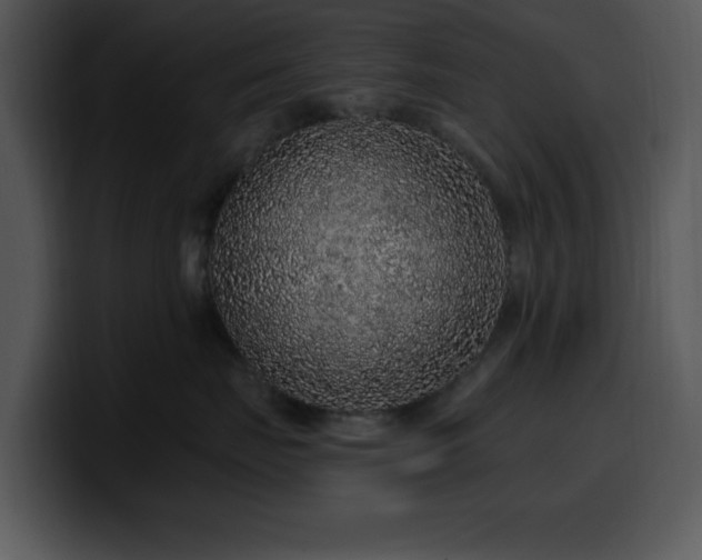 X0000100390671200806061255