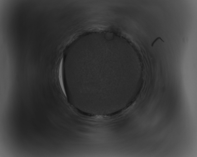 X0000100390672200806061255