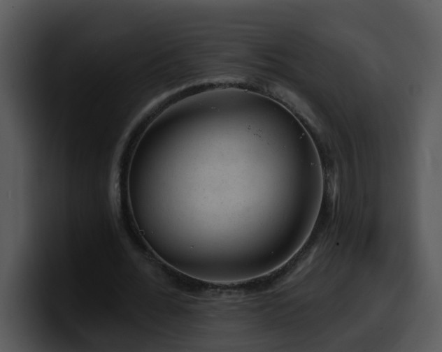 X0000100390676200806061255
