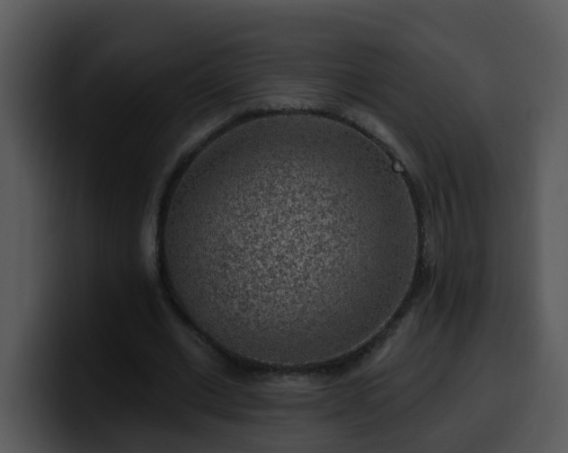 X0000100390677200806061255