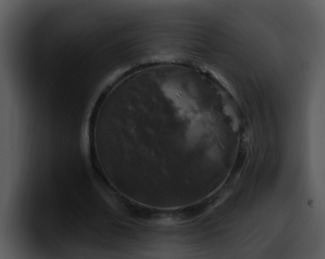 X0000100390678200806061255