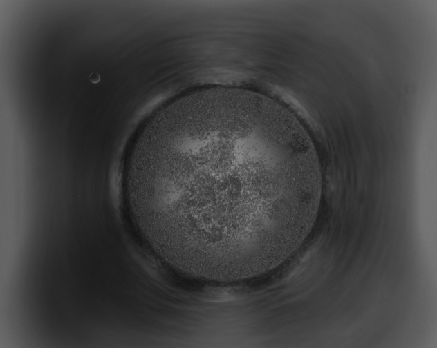 X0000100390679200806061255