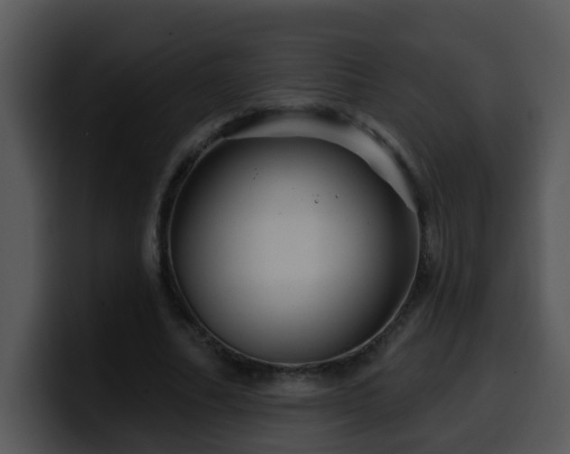 X0000100390682200806061255