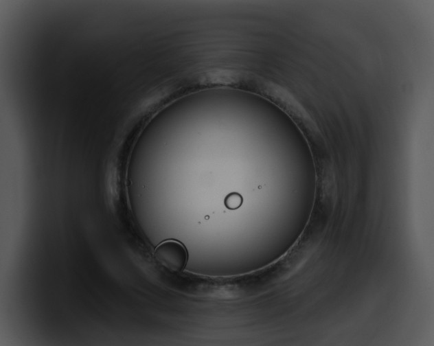 X0000100390683200806061255