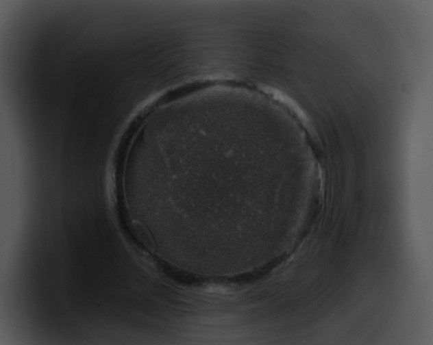 X0000100390684200806061255