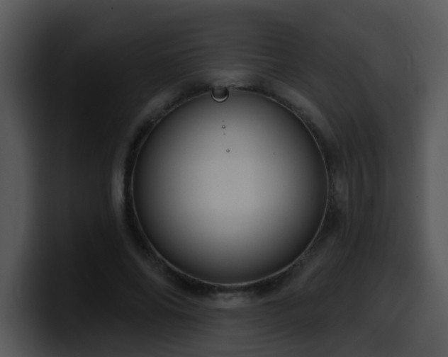 X0000100390686200806061255