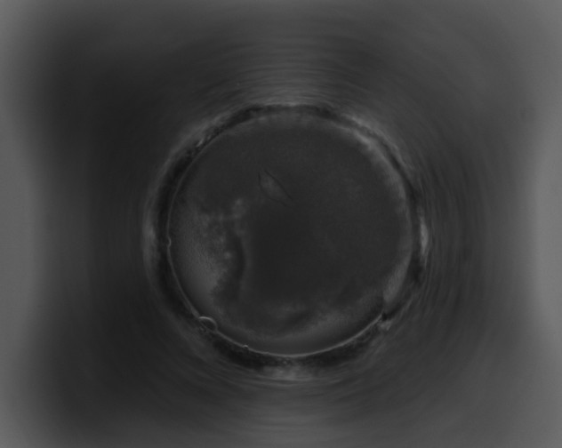 X0000100390688200806061254
