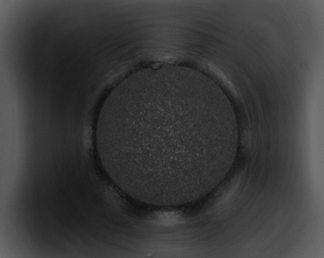 X0000100390689200806061254