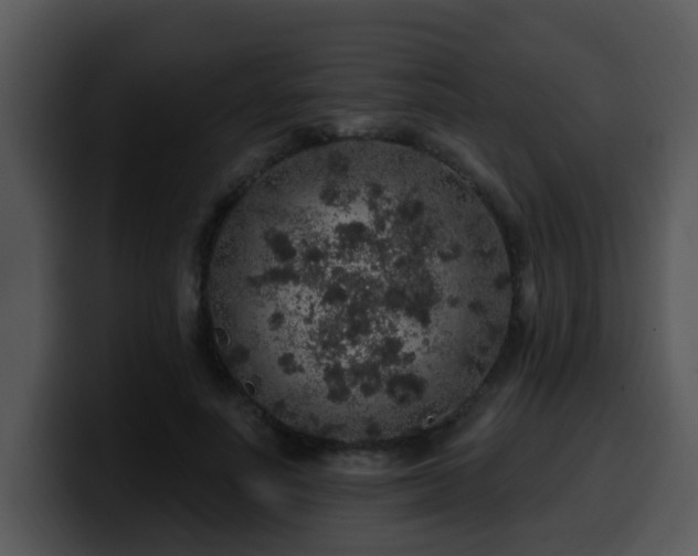 X0000100390691200806061254