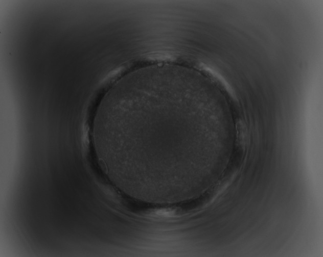 X0000100390692200806061254