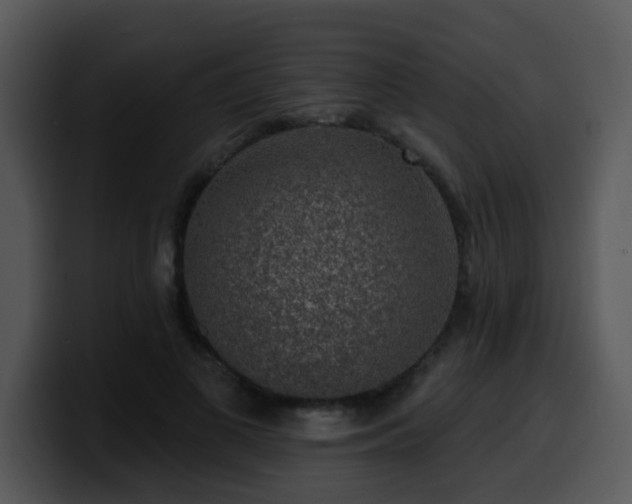 X0000100390693200806061254