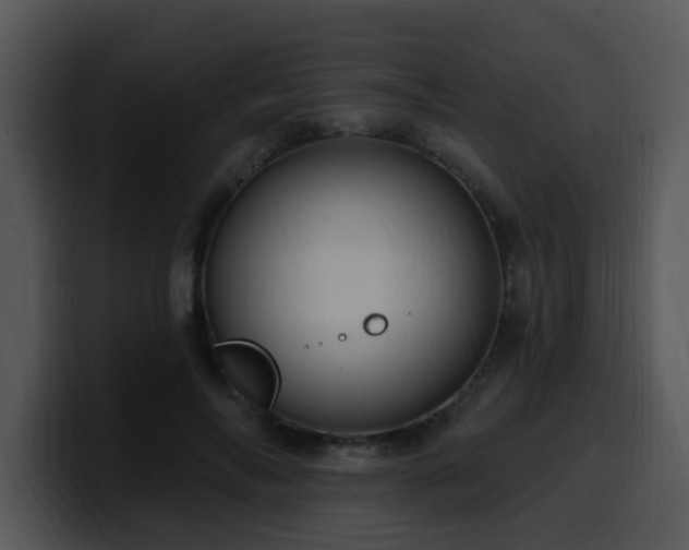 X0000100390694200806061254