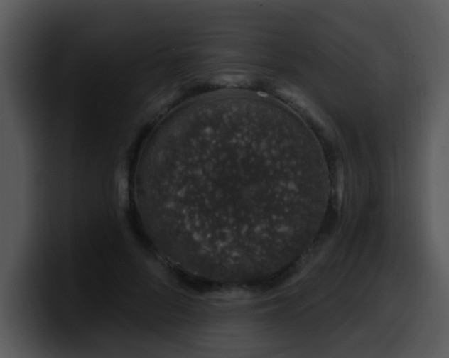 X0000100390696200806061254