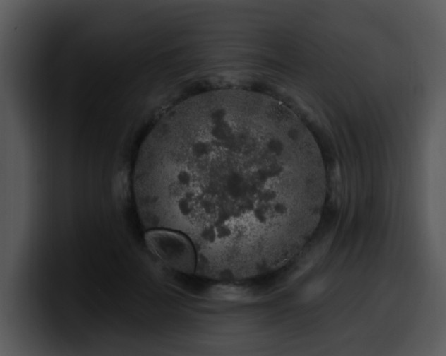 X0000100390699200806061254