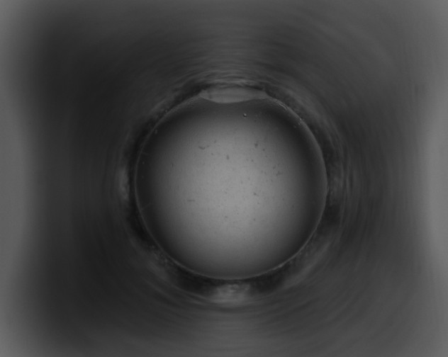 X0000100390700200806061254