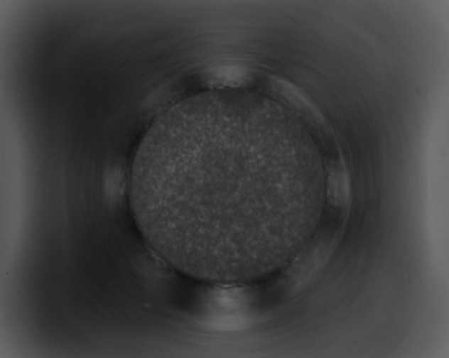 X0000100390701200806061254