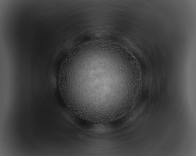 X0000100390703200806061254