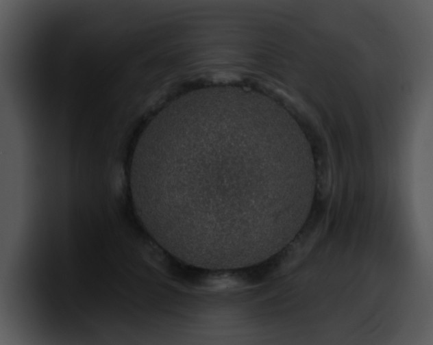 X0000100390704200806061254