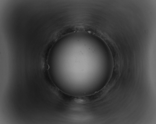 X0000100390706200806061254