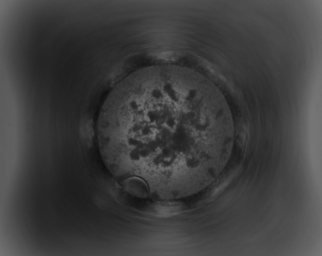 X0000100390707200806061254