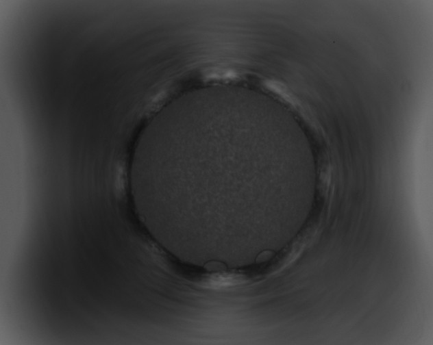 X0000100390708200806061254