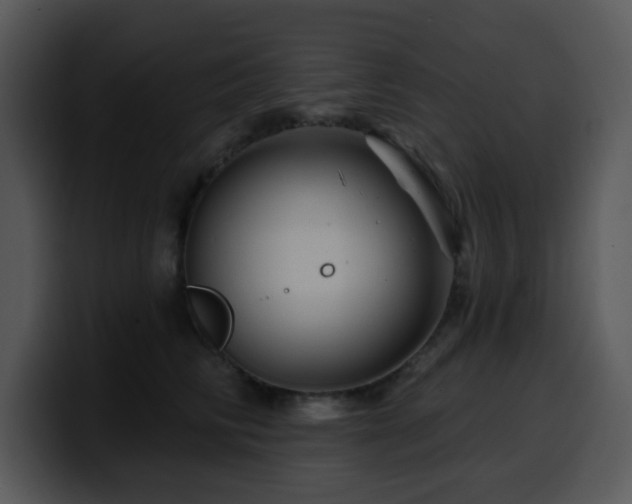 X0000100390710200806061254