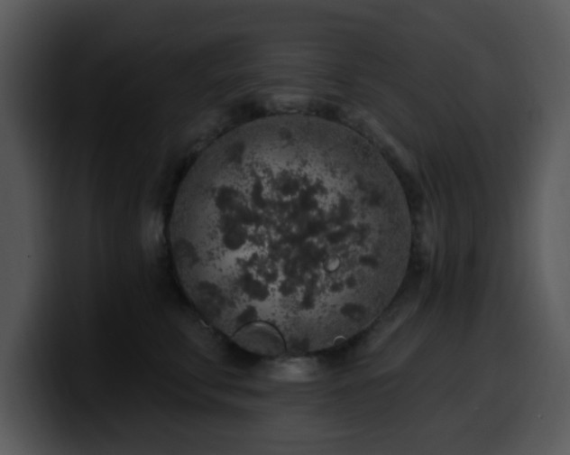 X0000100390711200806061254