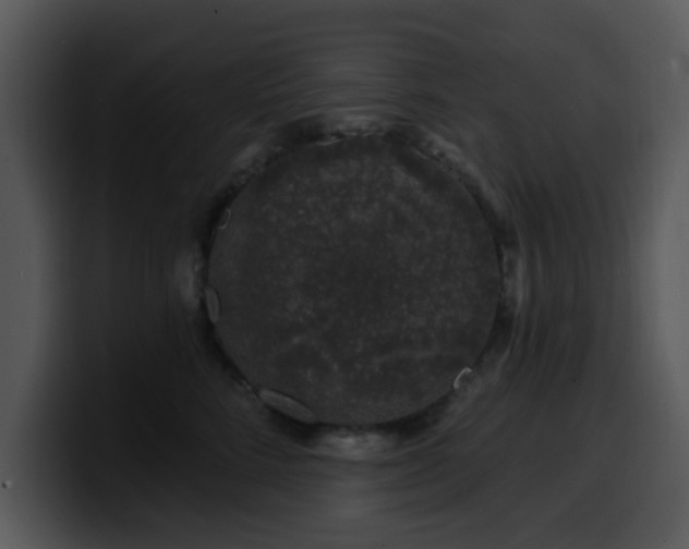X0000100390712200806061254