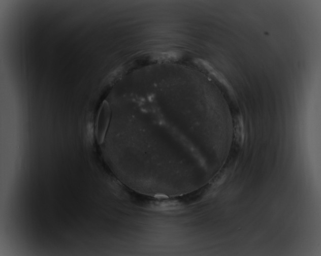 X0000100390716200806061254