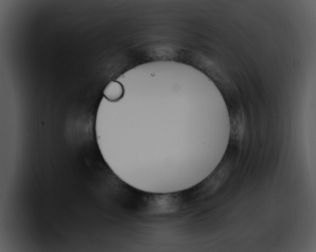 X0000100390717200806061254