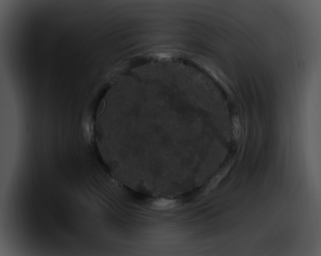X0000100390718200806061254