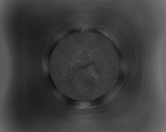 X0000100390719200806061254