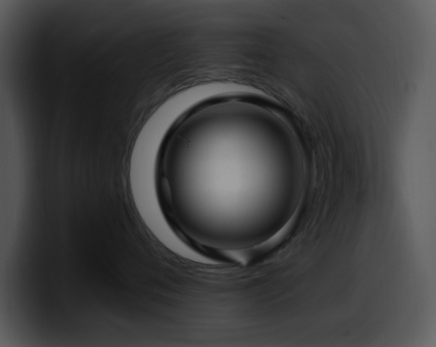 X0000100390720200806061254