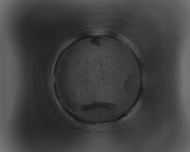X0000100390721200806061253