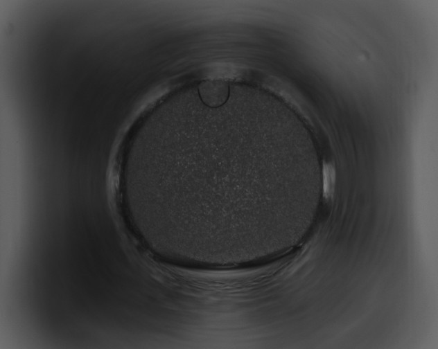X0000100390723200806061253