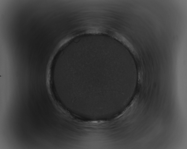 X0000100390724200806061253
