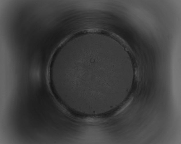 X0000100390725200806061253