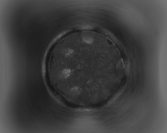 X0000100390726200806061253