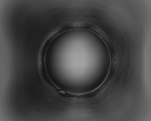 X0000100390727200806061253