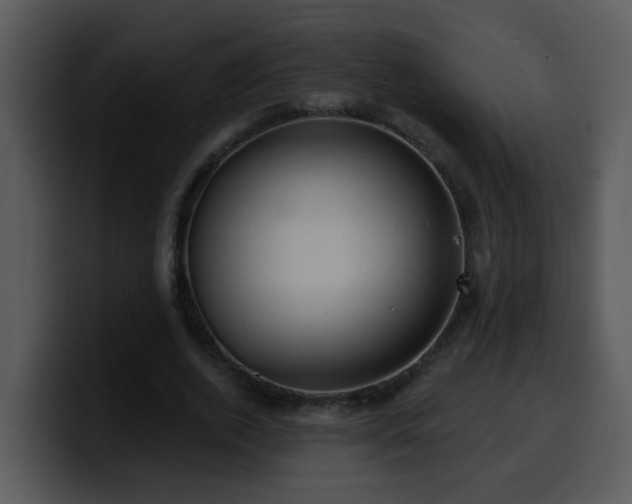 X0000100390728200806061253