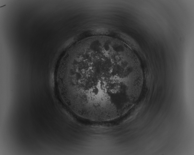 X0000100390729200806061253