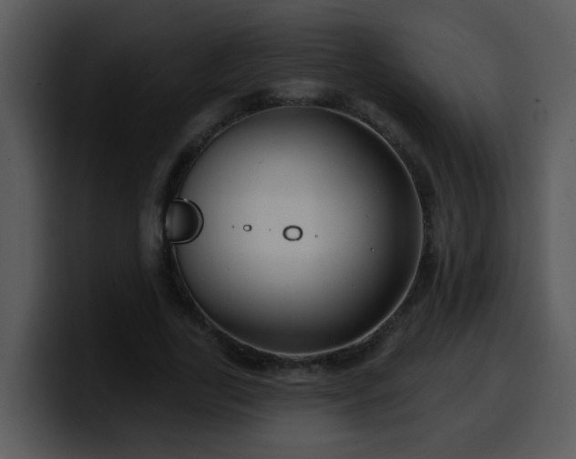 X0000100390731200806061253