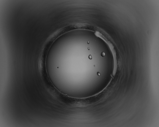 X0000100390732200806061253