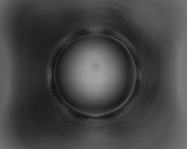 X0000100390733200806061254