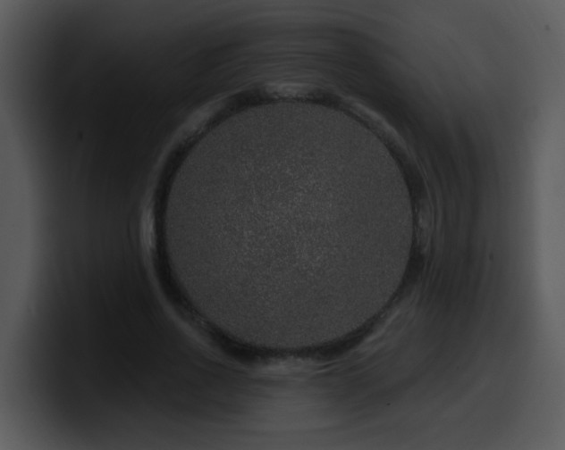 X0000100390734200806061254