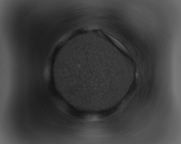 X0000100390735200806061254